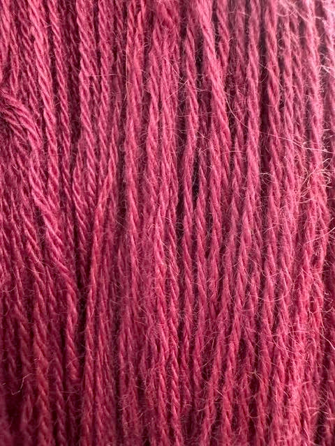 Ann Mayes Alpaca