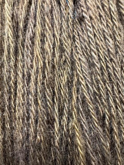 Ann Mayes Alpaca