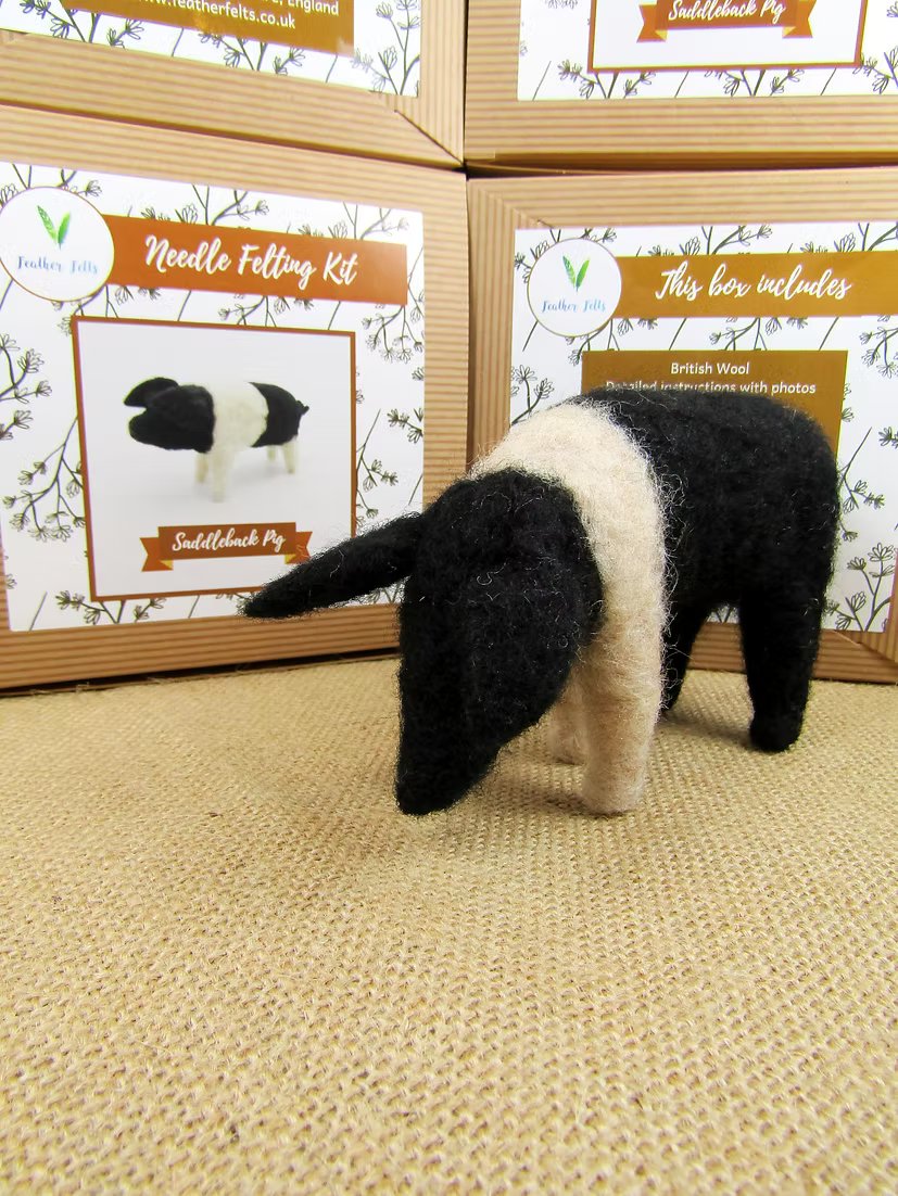 Needle Felting Kit