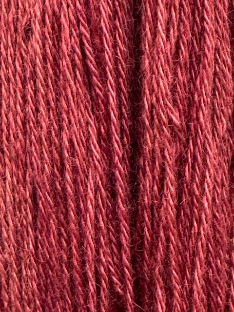 Ann Mayes Alpaca