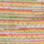 Plymouth Yarn Dream Baby Paintpot